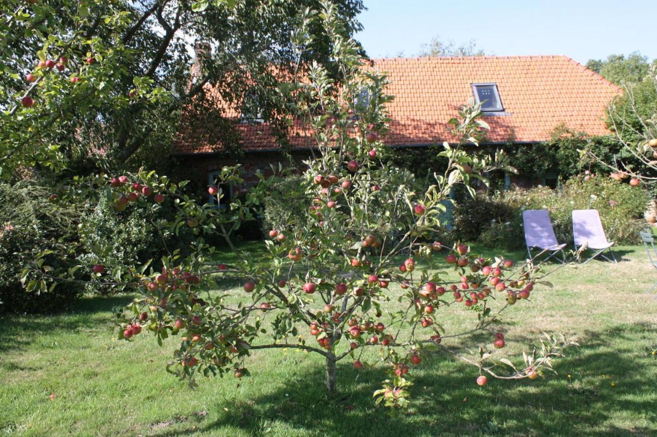 Petite Maison فارينجيفيل-سور-مير المظهر الخارجي الصورة